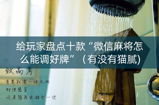 给玩家盘点十款“微信麻将怎么能调好牌”（有没有猫腻)