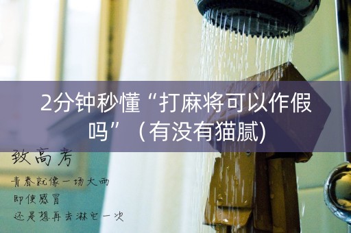 2分钟秒懂“打麻将可以作假吗”（有没有猫腻)
