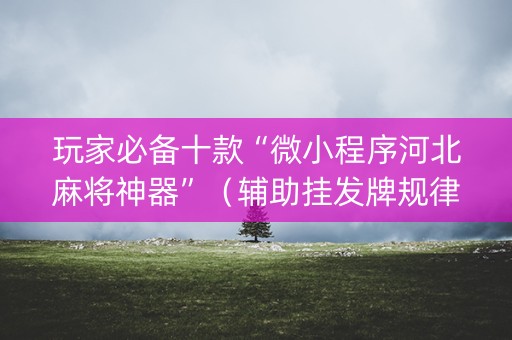 玩家必备十款“微小程序河北麻将神器”（辅助挂发牌规律)