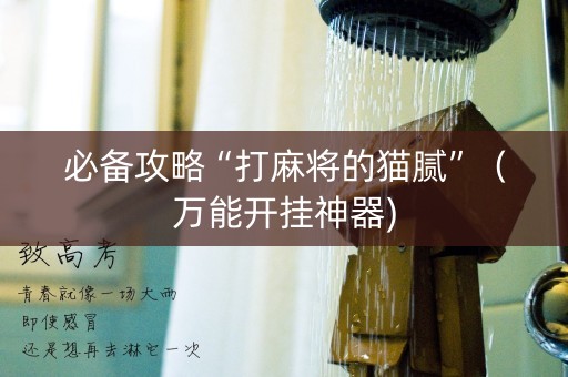 必备攻略“打麻将的猫腻”（万能开挂神器)