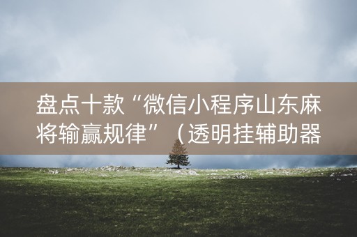 盘点十款“微信小程序山东麻将输赢规律”（透明挂辅助器)
