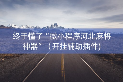 终于懂了“微小程序河北麻将神器”（开挂辅助插件)