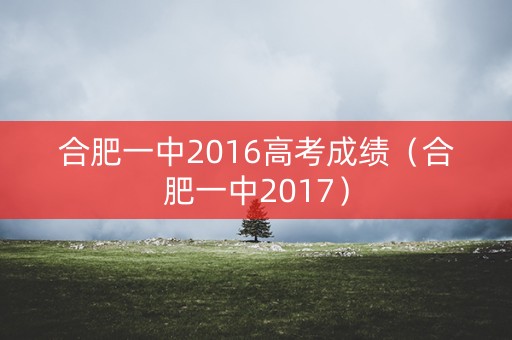 合肥一中2016高考成绩（合肥一中2017）