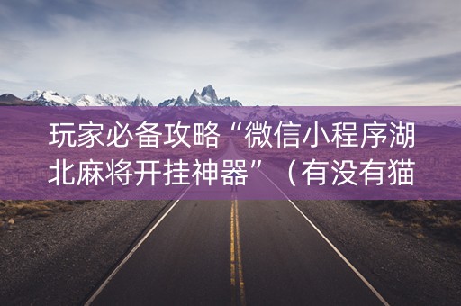 玩家必备攻略“微信小程序湖北麻将开挂神器”（有没有猫腻)