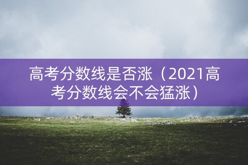 高考分数线是否涨（2021高考分数线会不会猛涨）