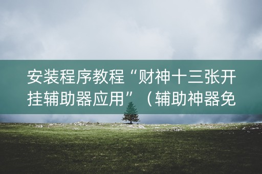 安装程序教程“财神十三张开挂辅助器应用”（辅助神器免费)