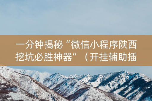 一分钟揭秘“微信小程序陕西挖坑必胜神器”（开挂辅助插件)