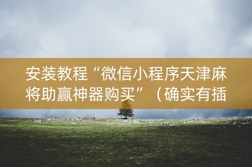 安装教程“微信小程序天津麻将助赢神器购买”（确实有插件吗)