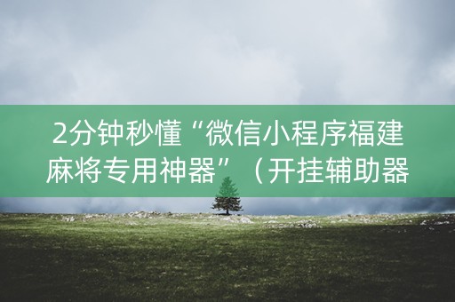 2分钟秒懂“微信小程序福建麻将专用神器”（开挂辅助器脚本)