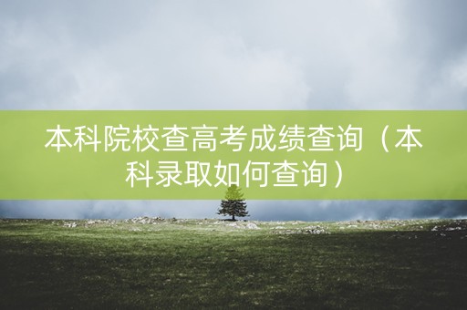 本科院校查高考成绩查询（本科录取如何查询）