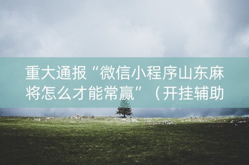 重大通报“微信小程序山东麻将怎么才能常赢”（开挂辅助器插件)