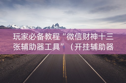 玩家必备教程“微信财神十三张辅助器工具”（开挂辅助器脚本)