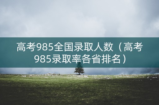 高考985全国录取人数（高考985录取率各省排名）