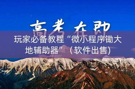 玩家必备教程“微小程序锄大地辅助器”（软件出售)