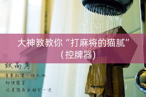 大神教教你“打麻将的猫腻”（控牌器)