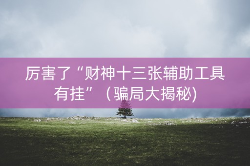 厉害了“财神十三张辅助工具有挂”（骗局大揭秘)