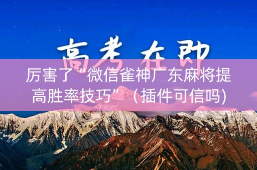 厉害了“微信雀神广东麻将提高胜率技巧”（插件可信吗)