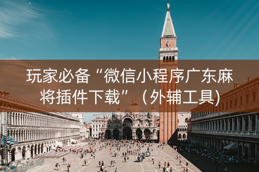 玩家必备“微信小程序广东麻将插件下载”（外辅工具)