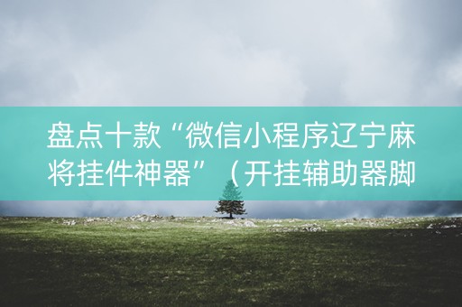 盘点十款“微信小程序辽宁麻将挂件神器”（开挂辅助器脚本)