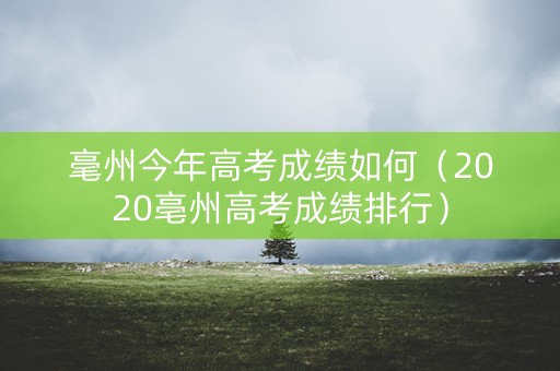 毫州今年高考成绩如何（2020亳州高考成绩排行）
