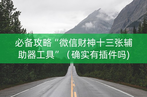 必备攻略“微信财神十三张辅助器工具”（确实有插件吗)