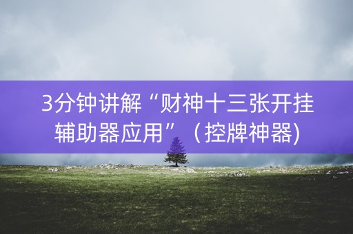 3分钟讲解“财神十三张开挂辅助器应用”（控牌神器)