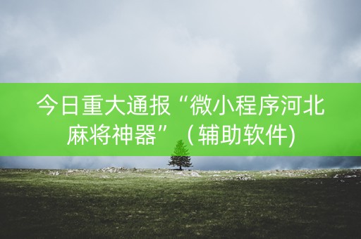 今日重大通报“微小程序河北麻将神器”（辅助软件)