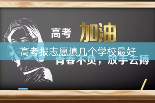 高考报志愿填几个学校最好