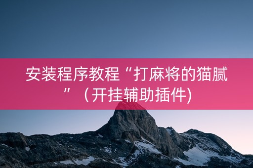 安装程序教程“打麻将的猫腻”（开挂辅助插件)