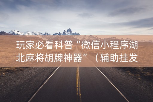 玩家必看科普“微信小程序湖北麻将胡牌神器”（辅助挂发牌规律)