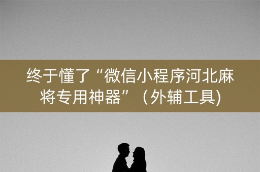 终于懂了“微信小程序河北麻将专用神器”（外辅工具)