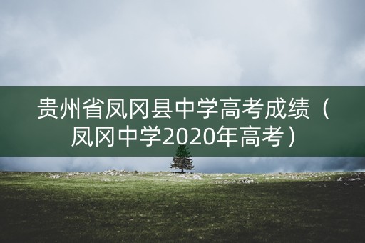 贵州省凤冈县中学高考成绩（凤冈中学2020年高考）