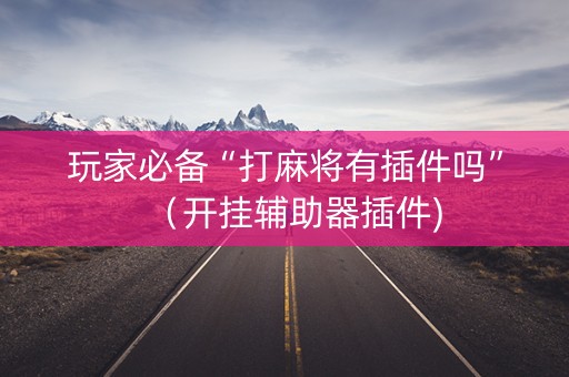 玩家必备“打麻将有插件吗”（开挂辅助器插件)