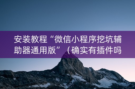 安装教程“微信小程序挖坑辅助器通用版”（确实有插件吗)
