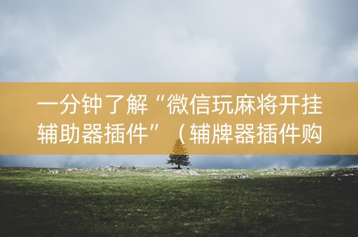 一分钟了解“微信玩麻将开挂辅助器插件”（辅牌器插件购买)