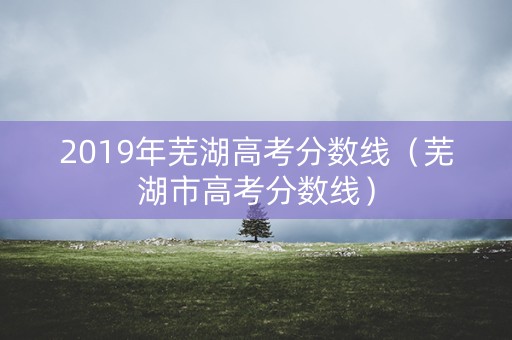 2019年芜湖高考分数线（芜湖市高考分数线）