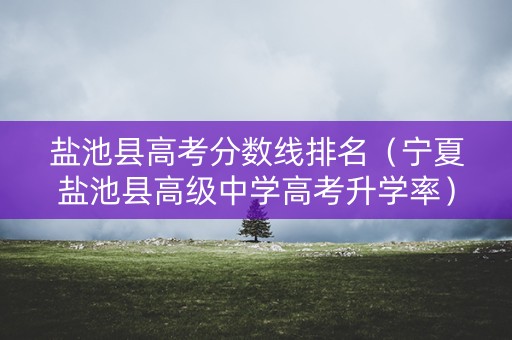 盐池县高考分数线排名（宁夏盐池县高级中学高考升学率）