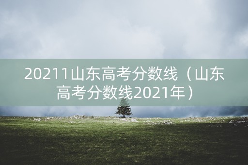 20211山东高考分数线（山东高考分数线2021年）