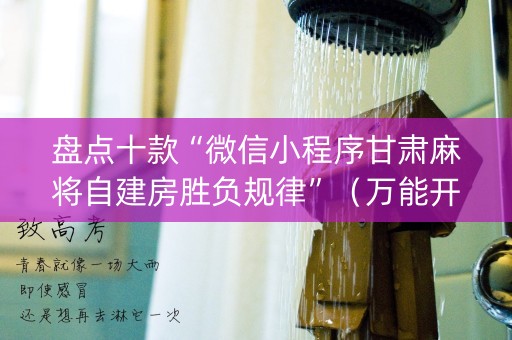 盘点十款“微信小程序甘肃麻将自建房胜负规律”（万能开挂器)