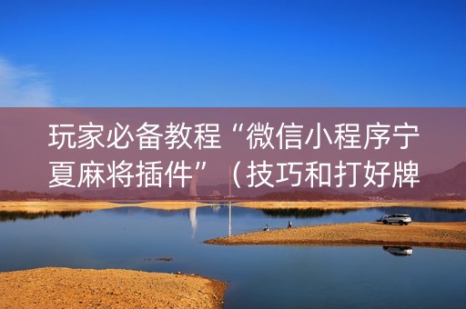 玩家必备教程“微信小程序宁夏麻将插件”（技巧和打好牌方法)