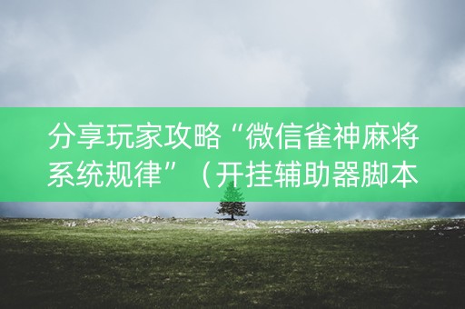 分享玩家攻略“微信雀神麻将系统规律”（开挂辅助器脚本)