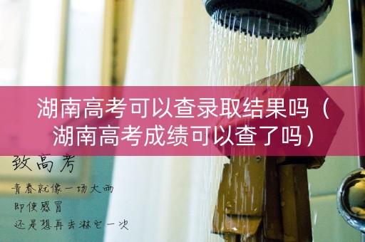 湖南高考可以查录取结果吗（湖南高考成绩可以查了吗）