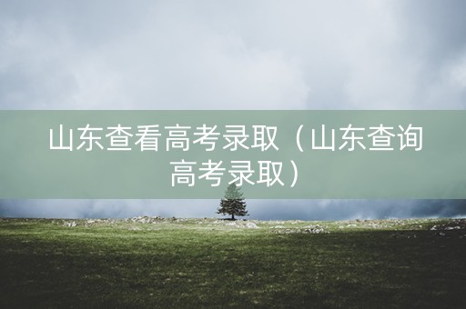山东查看高考录取（山东查询高考录取）