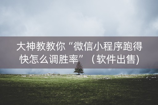 大神教教你“微信小程序跑得快怎么调胜率”（软件出售)