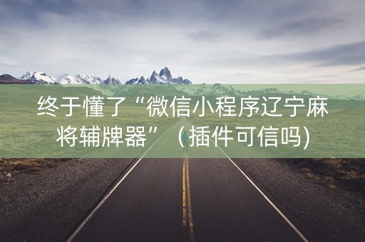 终于懂了“微信小程序辽宁麻将辅牌器”（插件可信吗)