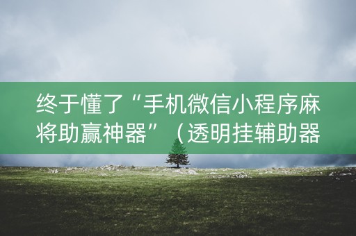 终于懂了“手机微信小程序麻将助赢神器”（透明挂辅助器)