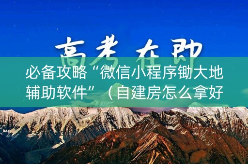 必备攻略“微信小程序锄大地辅助软件”（自建房怎么拿好牌)