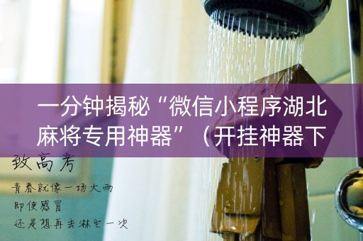 一分钟揭秘“微信小程序湖北麻将专用神器”（开挂神器下载)