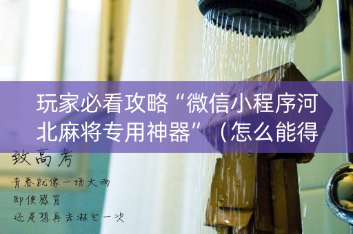 玩家必看攻略“微信小程序河北麻将专用神器”（怎么能得到好牌)