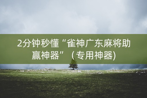 2分钟秒懂“雀神广东麻将助赢神器”（专用神器)